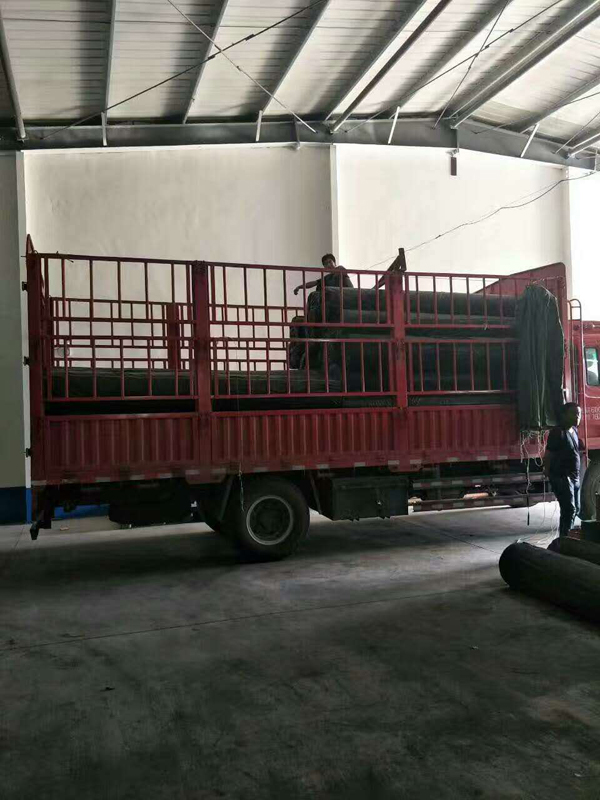 优质一级品pe猫咪视频色版APP产品发货