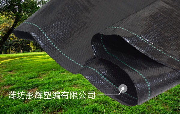 猫咪AV永久无码精品无码