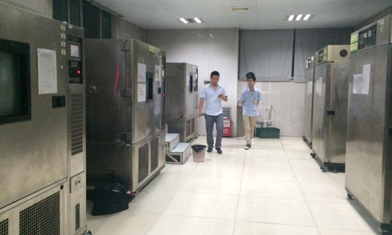 玩具应用猫咪视频成人在线播放